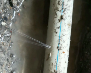 三都卫生间测漏水多少钱
